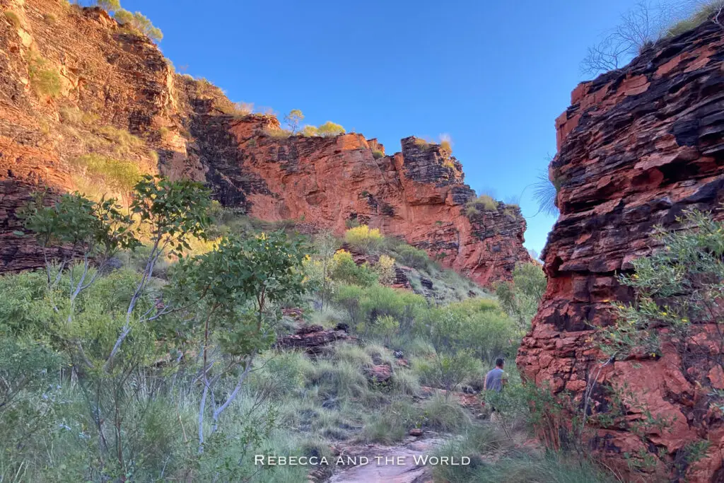 A person - the author's husband - walking through a canyon with steep red rock walls. Green vegetation grows along the base, and the cliffs are brightly lit by the sun, contrasting with the deep blue sky. This is Mirima National Park in Kununurra WA.