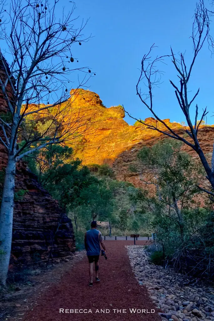A person walking along a well-maintained path through a canyon. The red rock walls are bathed in golden sunlight, and leafless trees with sparse foliage line the path. This is Mirima National Park in Kununurra, Western Australia.