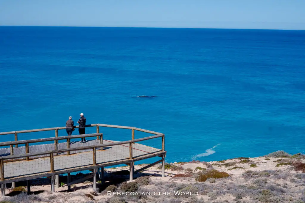 This photo captures a viewing platform overlooking a vast, calm blue ocean. Two people stand at the edge of the wooden platform, gazing out at the water. The dark shape of a whale is visible in the distance. The platform is surrounded by low, dry vegetation, with the bright blue sky meeting the equally blue sea on the horizon.