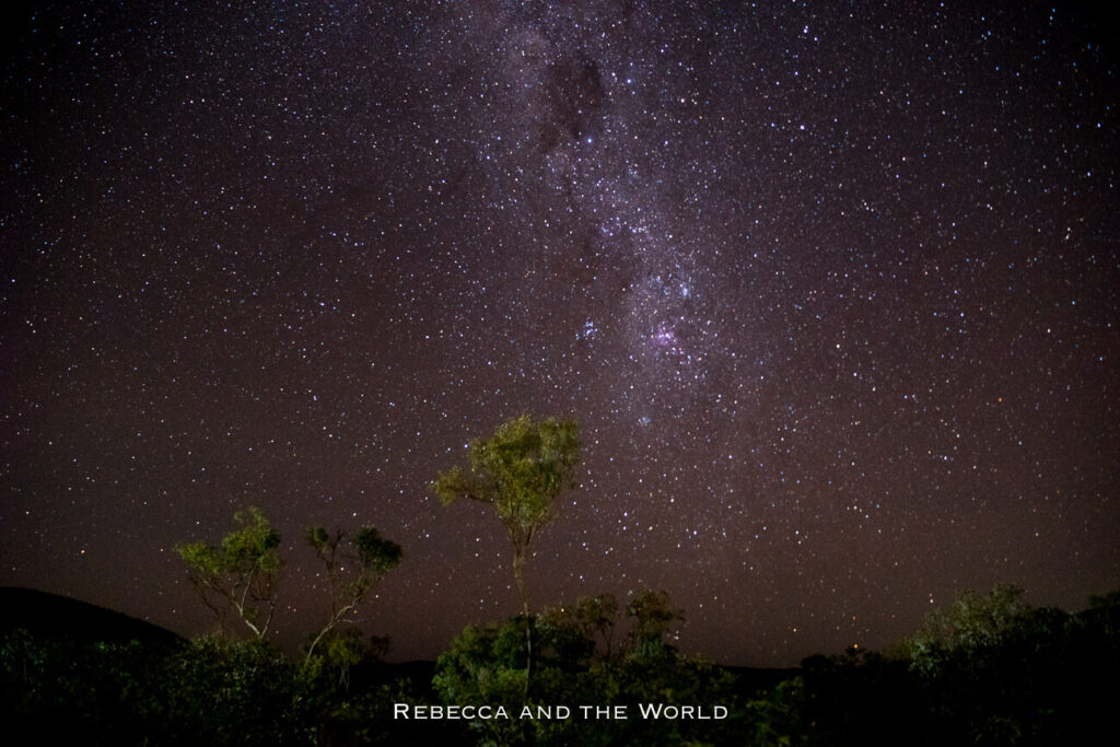 The image captures a clear night sky filled with countless stars, taken in the remote area of Karijini National Park, Western Australia, far from city lights. The Milky Way is visible, stretching across the sky as a dense band of stars and cosmic dust. Below, the tops of trees and shrubs are faintly illuminated, providing a sense of scale and grounding the viewer in the natural landscape.