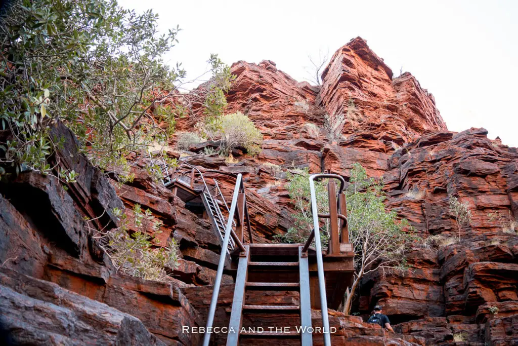 This image shows a steep set of metal stairs installed within Joffre Gorge in Karijini National Park, providing access for hikers. The stairs ascend through a narrow gap between towering red rock walls, with sparse shrubs and small trees growing in the crevices. The rugged and challenging terrain is typical of the park, where such infrastructure helps visitors safely explore the deep gorges and stunning natural features.