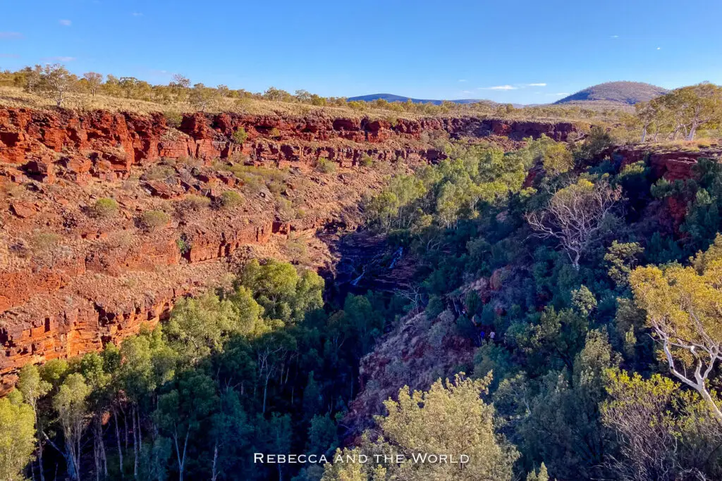 The image captures a wide view of Dales Gorge in Karijini National Park, overlooking Fortescue Falls in the distance. The steep red rock walls of the gorge are contrasted by the dense green vegetation filling the gorge below. The clear blue sky and the distant hills in the background add to the sense of vastness and isolation in this rugged landscape. The contrast between the green trees and red rocks creates a visually striking scene.