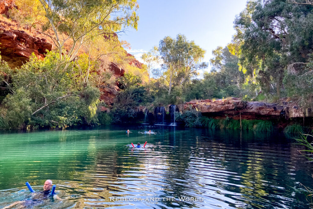 This image shows a group of people swimming in the crystal-clear, green waters of Fern Pool, located in Karijini National Park, Western Australia. The pool is surrounded by lush greenery and tall, red rock cliffs typical of the park. A small waterfall cascades into the pool, adding to the serene atmosphere. The scene is bathed in the warm light of late afternoon, creating a tranquil and refreshing setting.