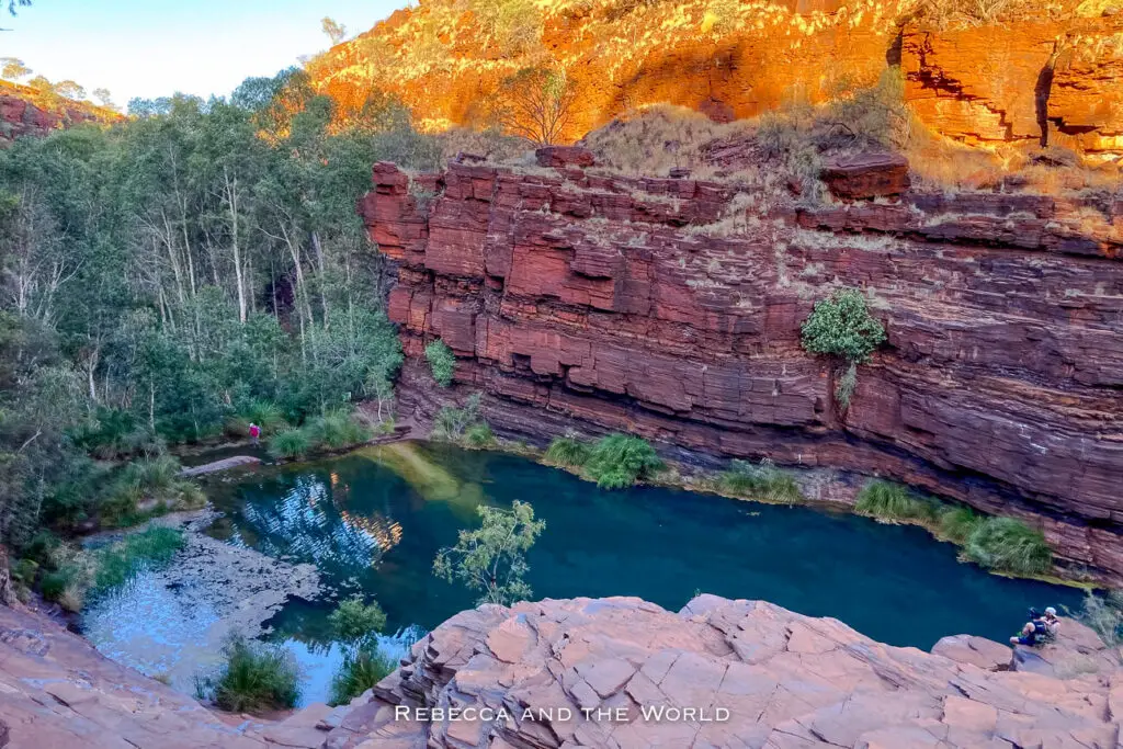 This photo provides a bird's-eye view of Fortescue Falls in Karijini National Park, with its red and purple rock walls towering above a green pool at the bottom. The layers of rock show varying shades of red, purple, and orange, creating a vibrant and dramatic landscape. Sparse vegetation grows along the edges and within the gorge, adding a touch of green to the otherwise stark environment. The scale of the gorge is emphasised by a tiny human figure at the bottom, exploring the area.