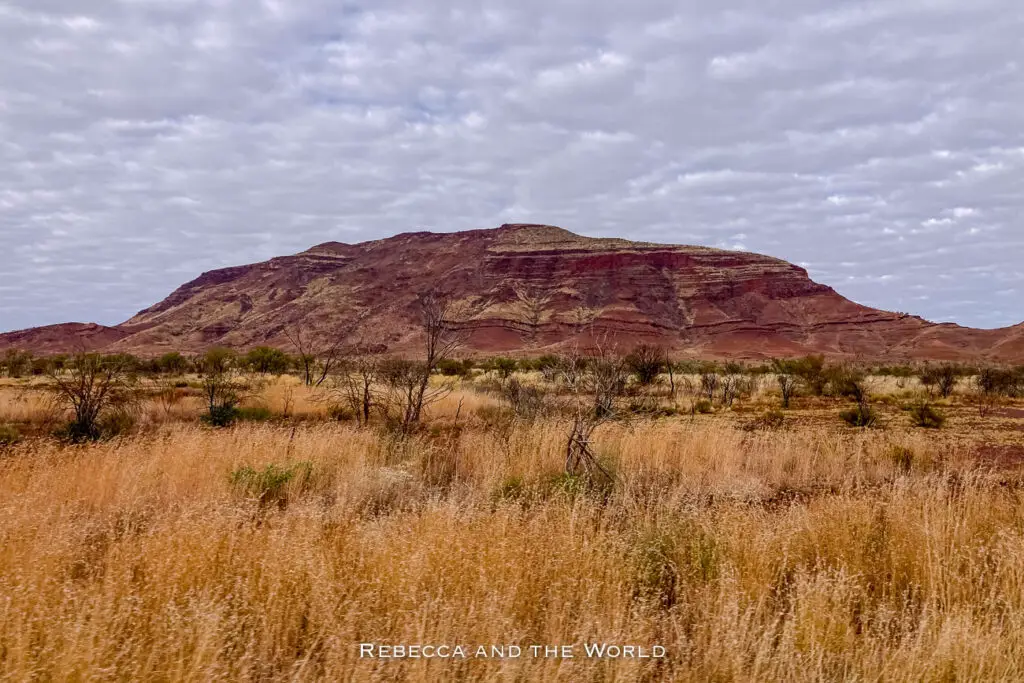 This photo shows a broad view of Mt Bruce in the Pilbara region of Western Australia. The mountain has a layered appearance with red and brown hues, typical of the area’s iron-rich rock formations. In the foreground, dry grass and low shrubs cover the flat landscape, while the sky above is partly cloudy. The image captures the rugged and ancient beauty of the Pilbara’s outback scenery.