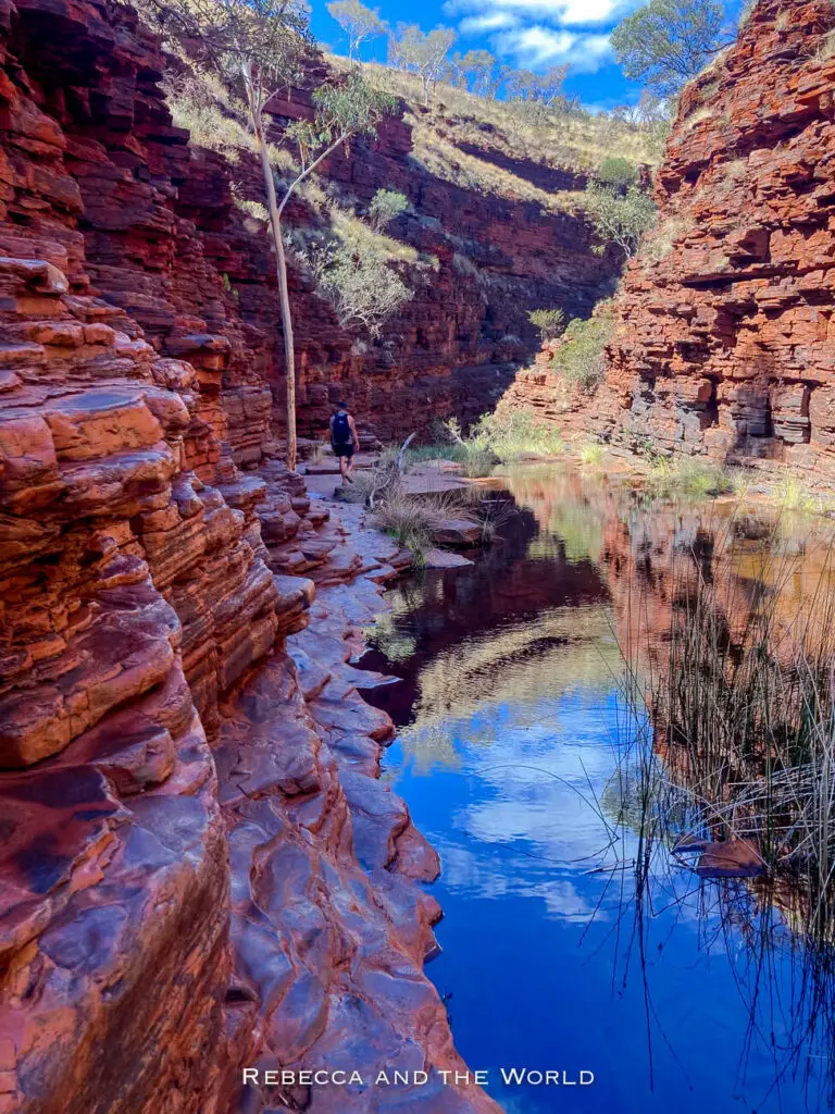 This image features a hiker walking through a narrow gorge in Karijini National Park. The path is bordered by towering red rock walls that reflect in a calm, shallow pool of water running along the base. The gorge's steep sides are lined with sparse vegetation, including tall grasses and a few trees, creating a dramatic and secluded atmosphere.