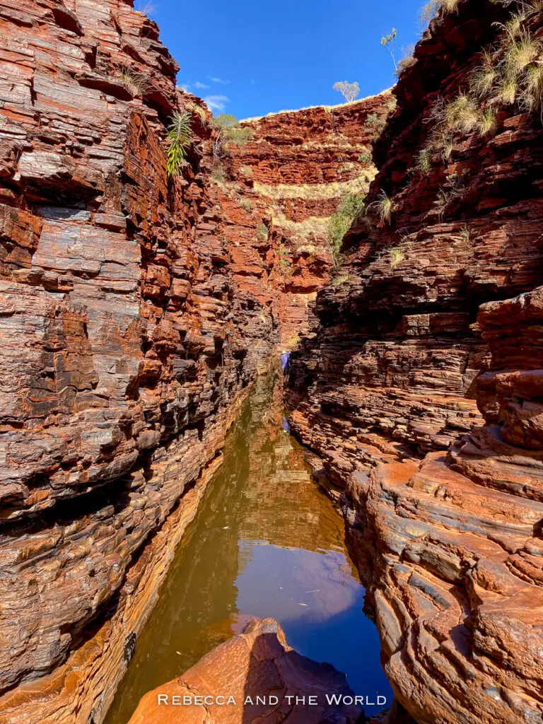 The image showcases a narrow, water-filled gorge with steep, jagged red rock walls in Karijini National Park. The gorge is just wide enough for a narrow stream to pass through, reflecting the rich colors of the rock. The bright blue sky contrasts sharply with the deep red and orange tones of the rocks, creating a visually striking scene of natural beauty.