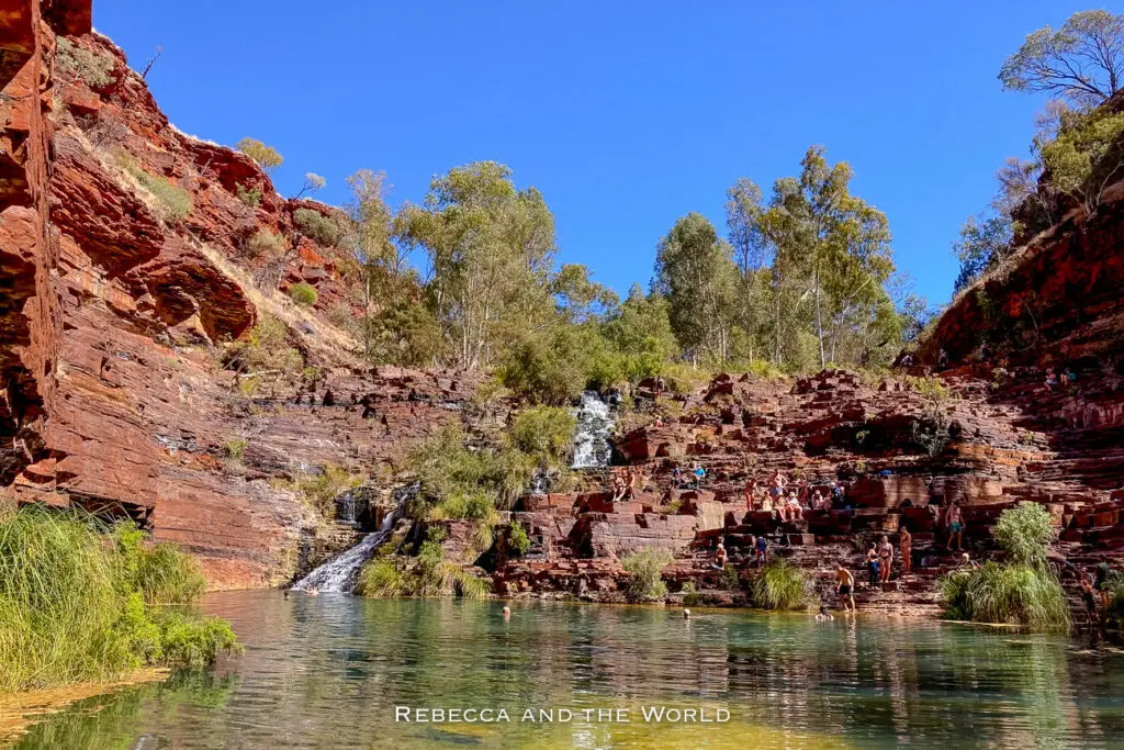 The image depicts a lively scene at a popular swimming spot in Karijini National Park. A waterfall cascades down red rock terraces into a green pool below, where people are swimming and relaxing on the surrounding rocks. The steep, red rock cliffs rise around the pool, with trees and shrubs adding greenery to the rugged landscape. The bright blue sky overhead completes the vibrant, inviting atmosphere of this natural oasis.