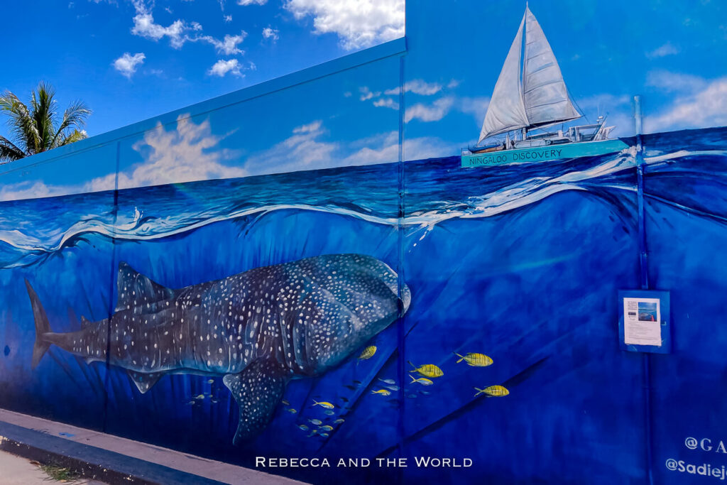 This image features a vibrant mural of a whale shark painted on a blue wall in Exmouth, Western Australia, depicting the massive fish swimming with smaller yellow fish and a sailboat named "Ningaloo Discovery" above the waterline. The mural captures the marine life of the nearby Ningaloo Reef, a popular site for whale shark tours. The sky above is clear and blue, adding to the mural's vividness. Exmouth is one of the best places to stop on a Perth to Broome road trip.