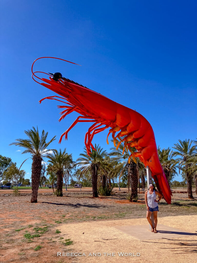 The image captures a woman - the author of this article - standing beneath the "Big Prawn" in Exmouth, Western Australia. The "Big Prawn" is an oversized, bright red sculpture of a prawn that is prominently displayed in a roadside area lined with palm trees. The sculpture is a quirky landmark, representing the area's connection to the seafood industry. The woman stands with one hand on her hip, gazing up at the towering prawn under a clear blue sky.