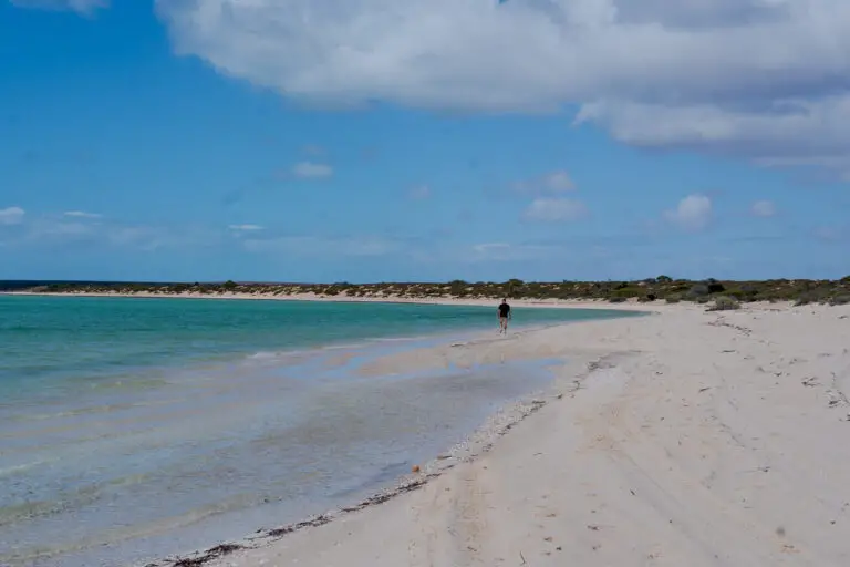 The image captures a quiet, pristine beach at François Peron National Park in Shark Bay, Western Australia. The beach features soft white sand and calm, shallow turquoise waters stretching into the distance. A single person walks along the shoreline, adding to the sense of solitude and natural beauty. The sky above is partly cloudy, contributing to the serene and untouched atmosphere of this remote location.