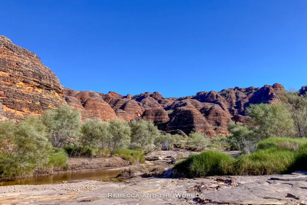 A scenic landscape of Purnululu National Park, featuring the distinctive beehive domes of the Bungle Bungles. The foreground is filled with native vegetation and a meandering stream, capturing the natural beauty and geological wonder of this World Heritage-listed site.