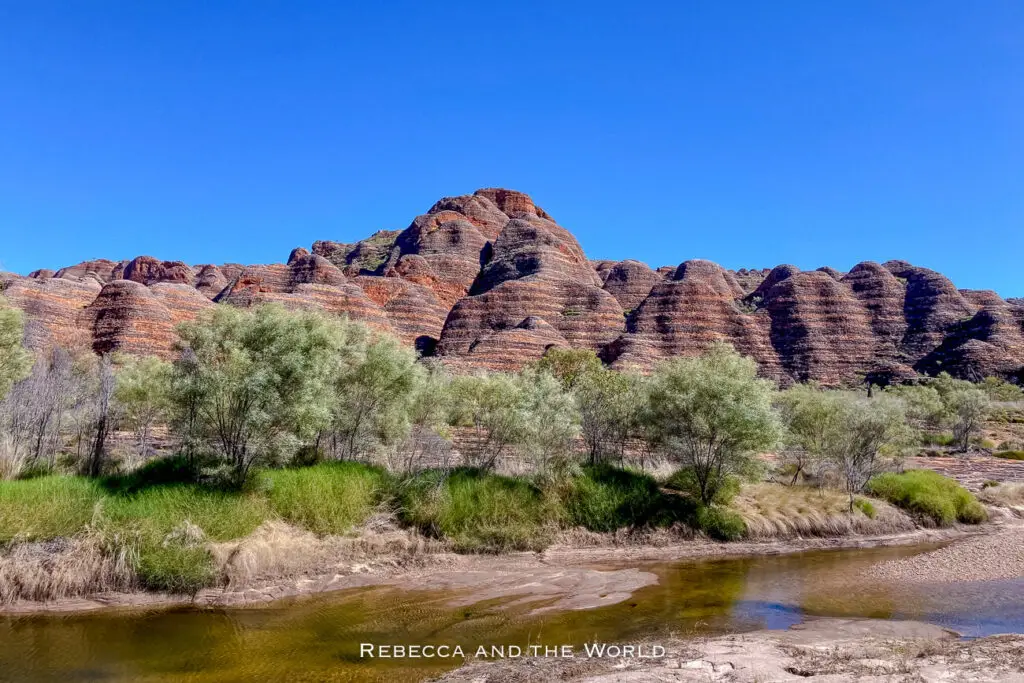A scenic landscape of Purnululu National Park, featuring the distinctive beehive domes of the Bungle Bungles. The foreground is filled with native vegetation and a meandering stream, capturing the natural beauty and geological wonder of this World Heritage-listed site.