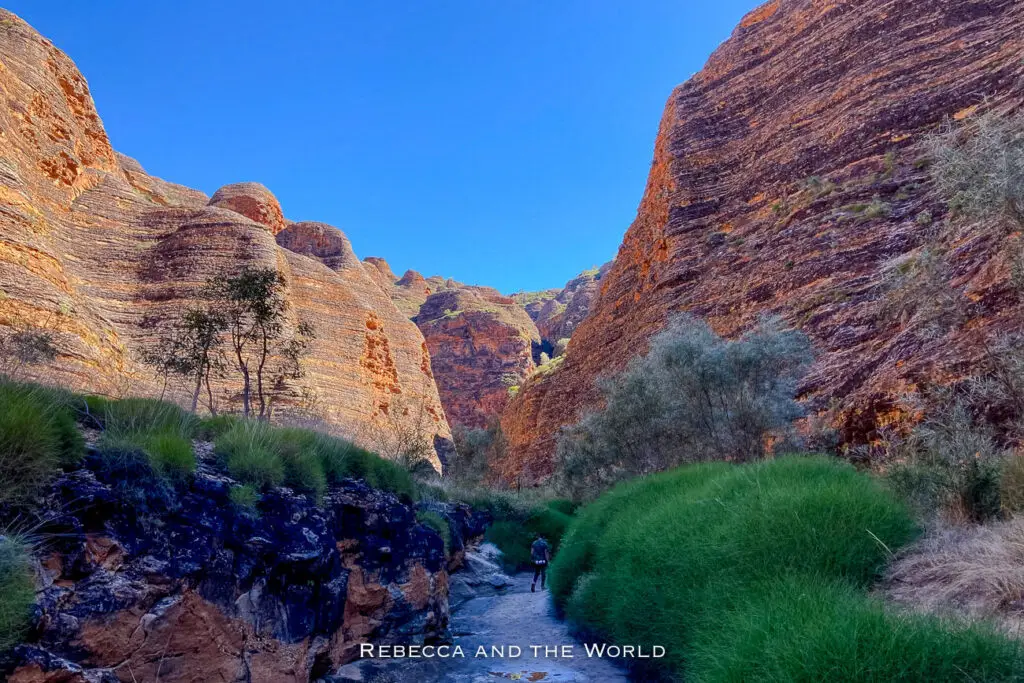 A view of the Bungle Bungle Range with its unique beehive-shaped rock formations rising from the landscape. In the foreground, green vegetation and a small stream provide a stark contrast to the reddish-brown domes, under a clear blue sky.