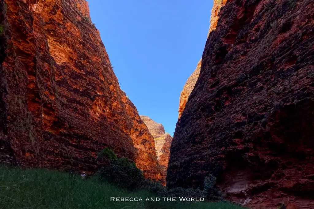 A deep, narrow canyon in Purnululu National Park, with towering rock walls in rich shades of red and orange. The canyon's floor is lined with green grasses, and a lone figure can be seen walking along the path, showcasing the scale and beauty of the Bungle Bungles.