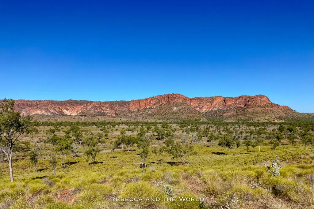 A panoramic view of the Bungle Bungle Range in Purnululu National Park, showcasing the distinctive orange and black striped domes of the range. The foreground features a sparse landscape of low shrubs and scattered trees, typical of the arid environment, under a clear blue sky.
