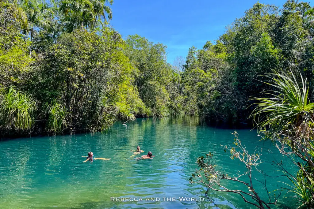 A tranquil scene of three people enjoying a swim in a clear, blue-green natural pool, bordered by dense tropical vegetation under a bright blue sky. This image showcases the beauty of Darwin's natural attractions, a must-see for those exploring things to do in Darwin. This is Berry Springs Nature Park, a great place to cool off in Darwin's heat.