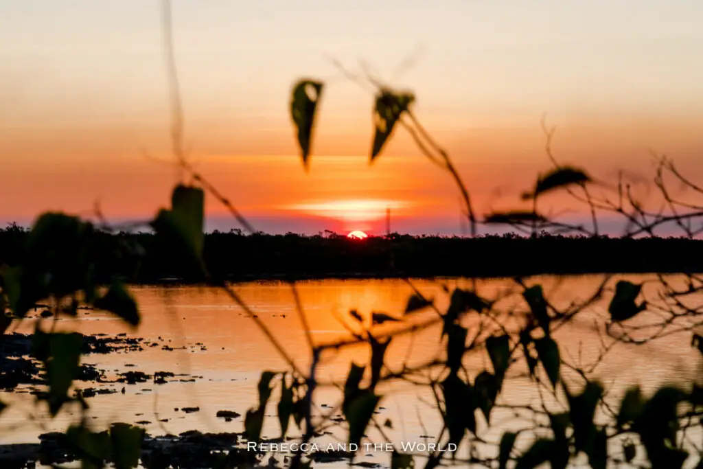 A stunning sunset in the Kimberley, with the sun just touching the horizon and casting a warm orange glow over the water. The silhouette of plants in the foreground adds depth to the scene, capturing the natural beauty and serene atmosphere of an evening in this remote region.