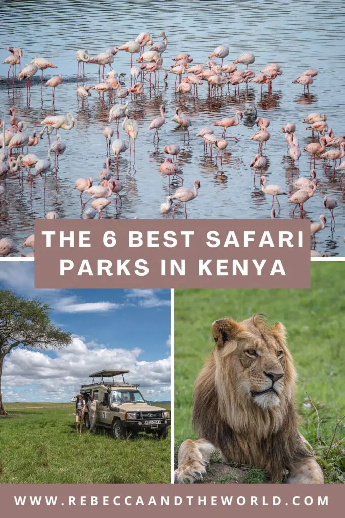 With so many options, how do you choose from the best safari parks in Kenya? This guide highlights the top 6, including what to see and do. | Kenya Safari | Safari Parks in Kenya | Visit Kenya | Masai Mara | Kenya Safari Holiday | Where to Safari in Kenya | Amboseli National Park | Lake Nakuru Kenya | Masai Mara National Reserve | Kenya Itinerary | Samburu National Reserve | Tsavo National Park | Laikipia County | Kenya Safari Parks | Great Migration Kenya 