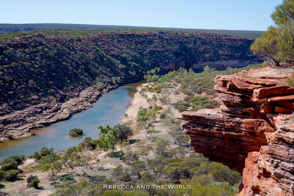 A close-up view of the Murchison River cutting through steep, red sandstone cliffs in Kalbarri National Park. Sparse trees and bushes line the riverbanks, contrasting with the deep, rocky canyon walls.