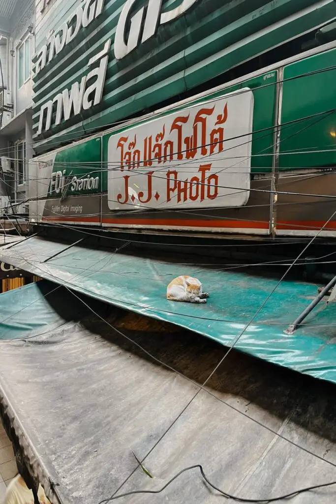 A ginger-and-white cat curled up asleep on a green awning beneath bold Thai signage and tangled power cables in Bangkok.