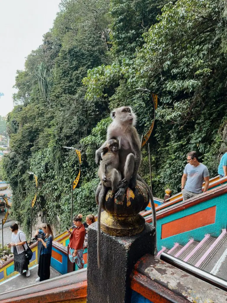 A mother macaque sits atop a decorative railing at Batu Caves, Malaysia, holding her baby while tourists walk up the brightly painted rainbow stairs in the background.