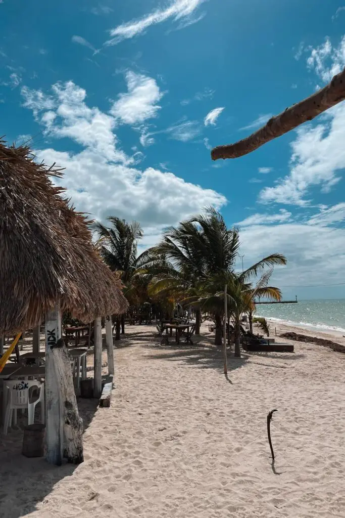 Rustic beachfront palapas and palm trees on a quiet stretch of sand in Celestún, a relaxing coastal day trip from Merida.