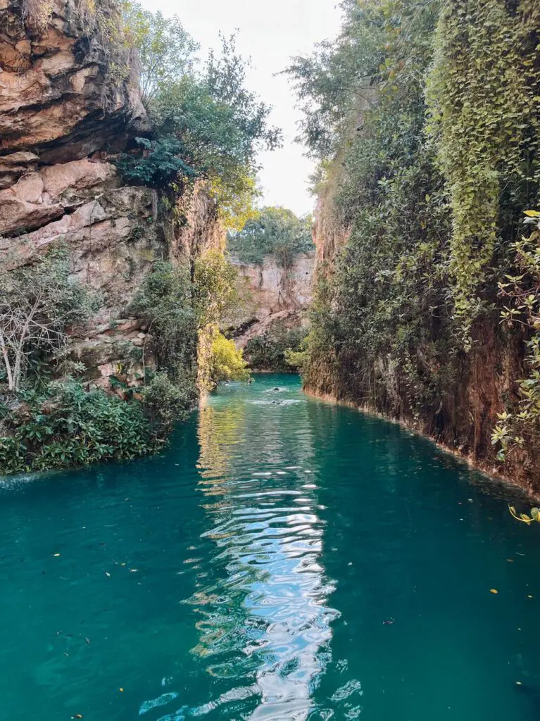 View of a turquoise cenote surrounded by lush jungle cliffs at Cenote Santa Barbara, one of the best cenotes to visit on a Yucatan itinerary.