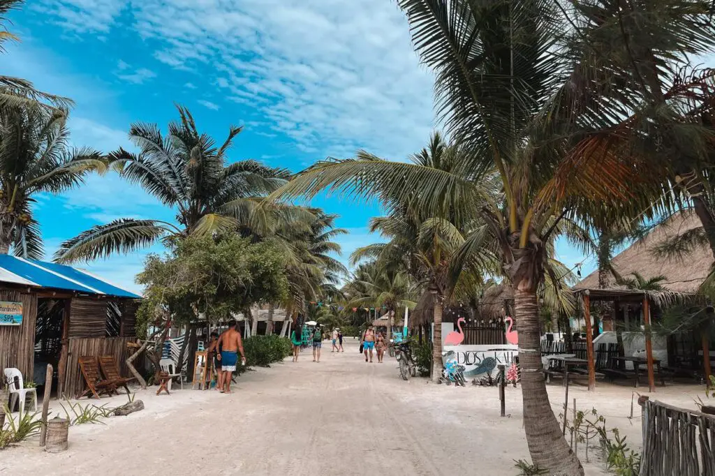 Sandy pedestrian street lined with palm trees and beach shacks on Isla Holbox, a relaxed destination often featured in Yucatan itineraries.