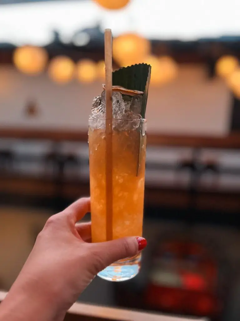 A refreshing, artistic cocktail garnished with citrus and a leaf, held up against soft lights—representing Guadalajara’s growing craft cocktail scene.