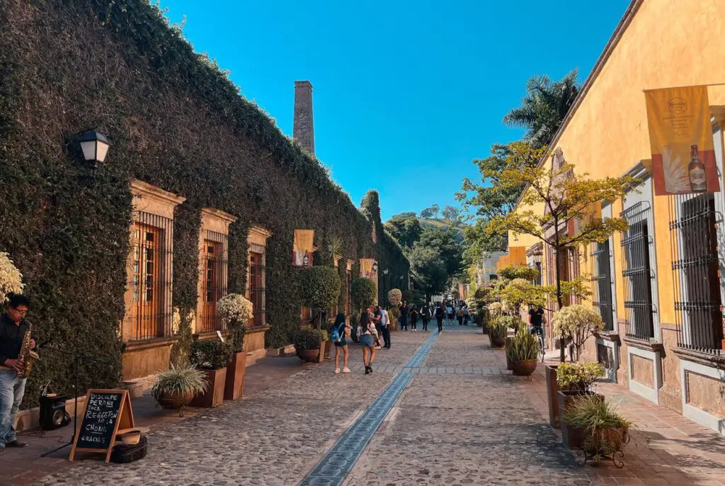 Pedestrian street in Tequila, Mexico, lined with colorful colonial-style buildings and lush greenery, with people walking and shopping on a sunny day.