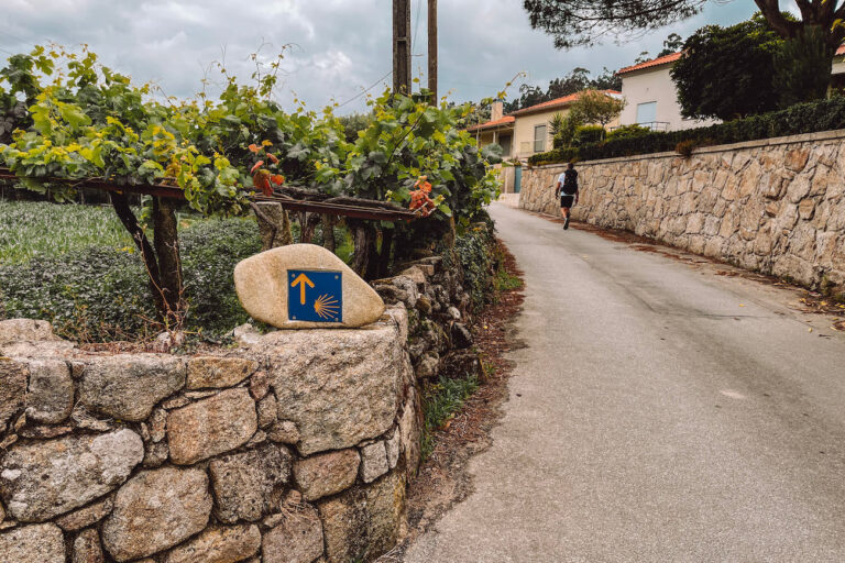 A Portuguese Camino marker with a yellow arrow and scallop shell on a stone wall, guiding a pilgrim along a narrow rural road lined with grapevines and houses.