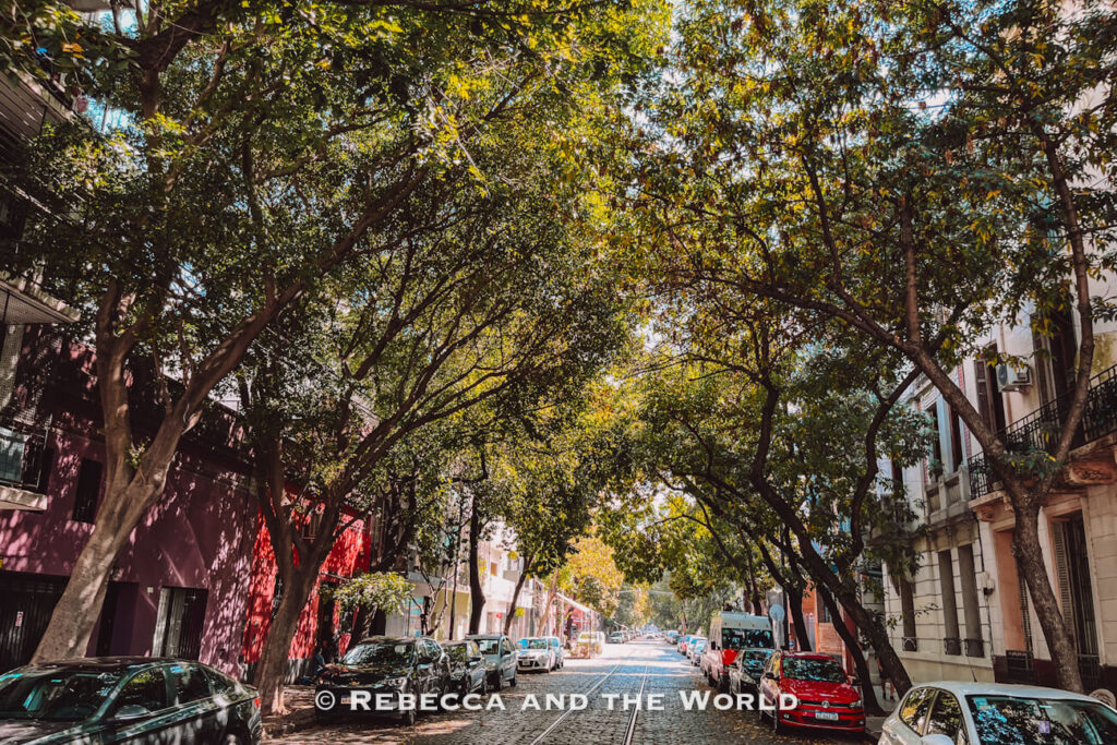 Leafy street in Palermo, Buenos Aires, capturing the local atmosphere around this Argentine asado experience.