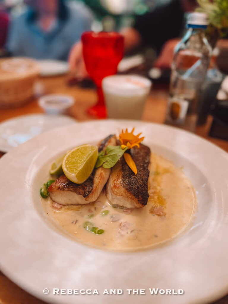 A plated fish dish topped with herbs and lime sits in a creamy sauce on a restaurant table, representing dining options during a Maipo Valley day trip from Santiago.