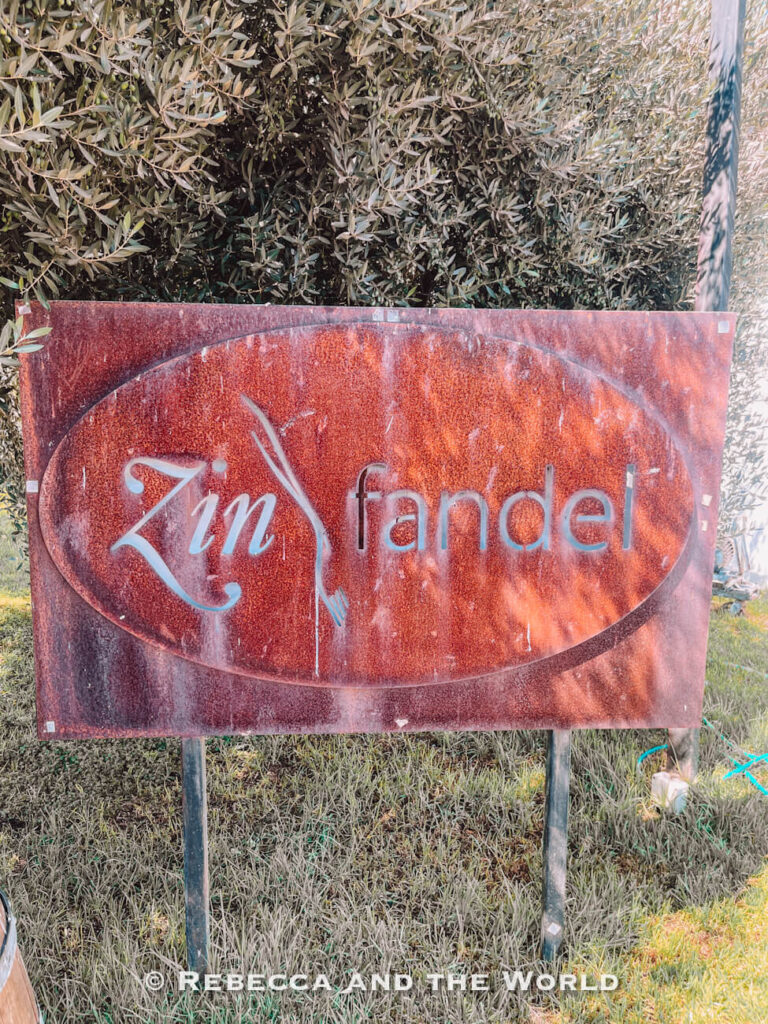 A rustic sign reading “Zinfandel” stands in front of greenery, marking part of a Maipo Valley tour where different grape varieties are highlighted.