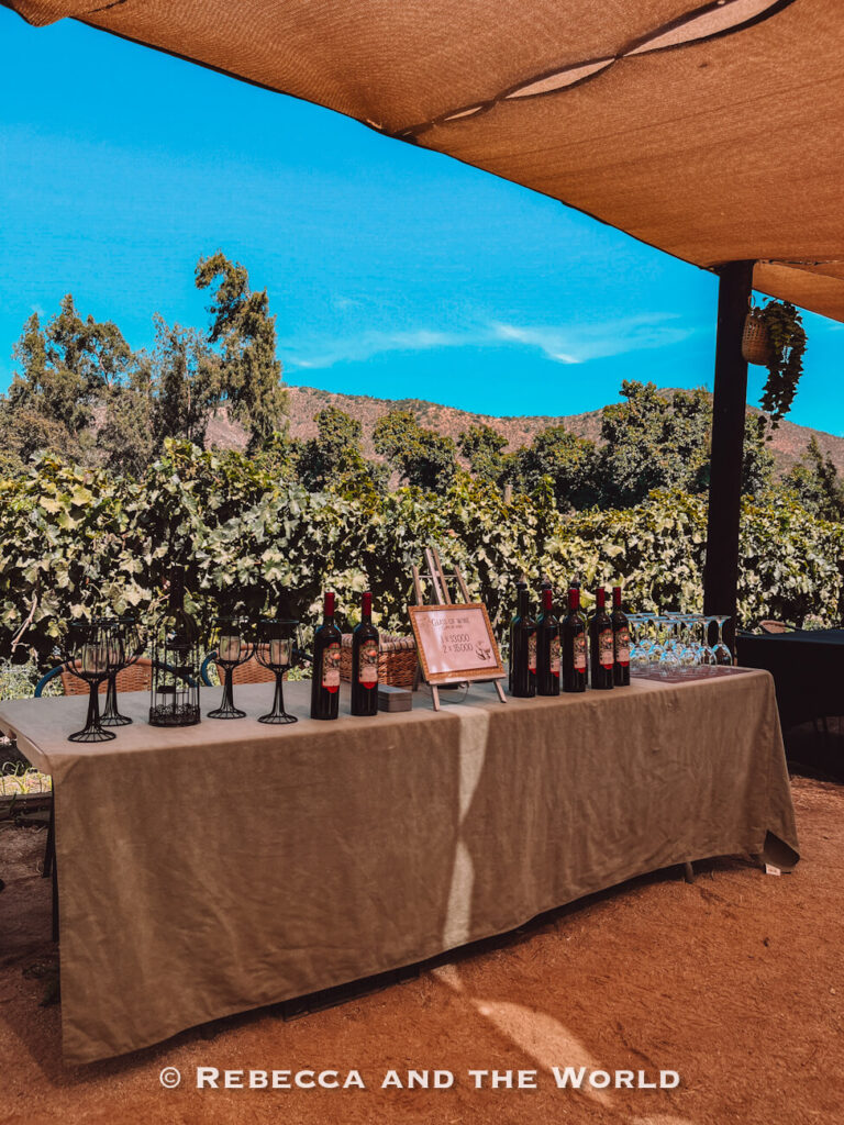 A table set with wine bottles and glasses overlooks vineyard rows and hills beyond, a typical tasting scene on a Maipo Valley day trip from Santiago.