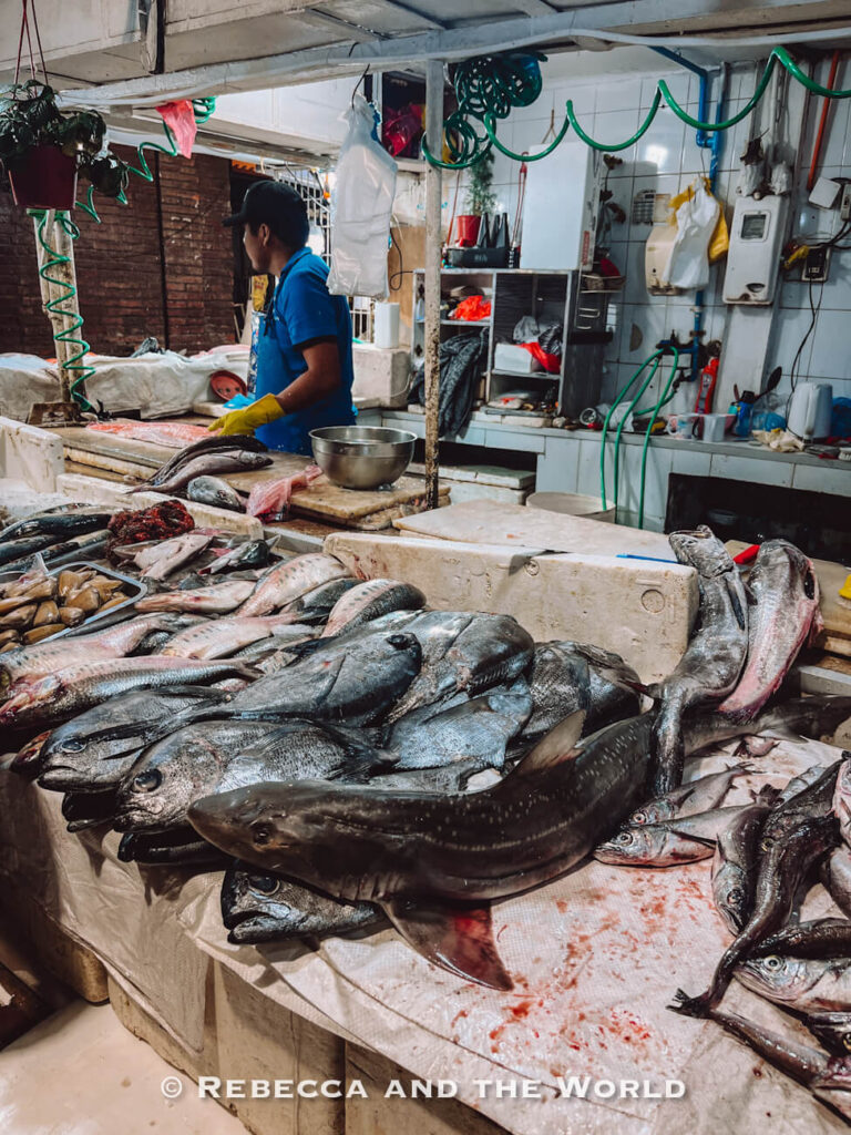 Fresh fish displayed on a market stall while a vendor prepares seafood inside Mercado Central, highlighting authentic ingredients you’ll encounter on a Santiago market food tour and what to eat in Chile.