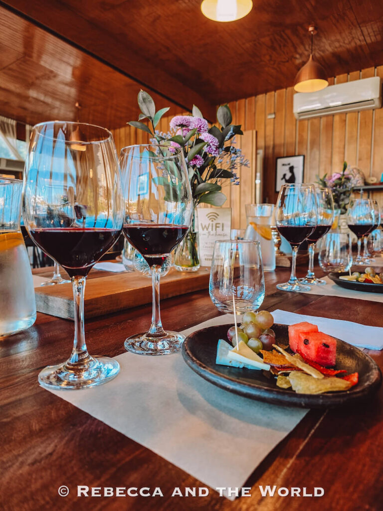 Several glasses of red wine sit on a wooden table alongside small plates of cheese and fruit in a cozy tasting room—illustrating wine tasting experiences, a favorite option for what to do in Santiago and its surrounding valleys.