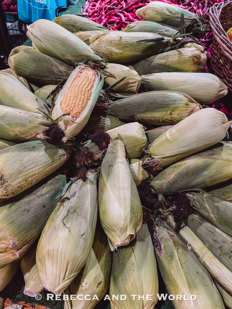 A pile of fresh corn in husks stacked at a market stall, with one ear partially peeled back to reveal yellow kernels—capturing local produce and everyday scenes from markets, a simple but authentic addition to things to do in Santiago.