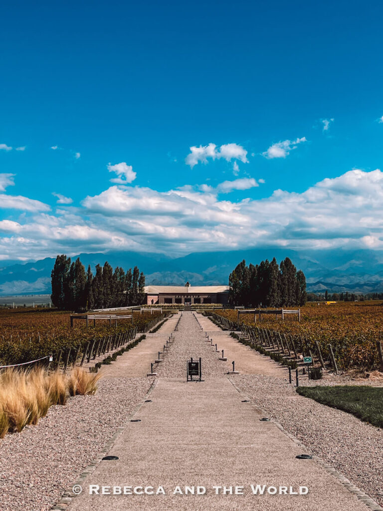 Straight pathway leading through rows of vineyards toward a winery building with mountains and clouds in the distance. There are so many amazing spots for wine tasting in Mendoza.