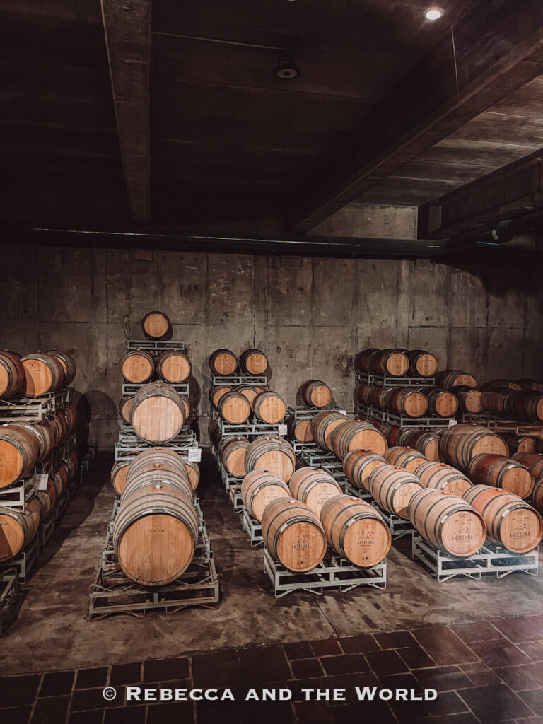 Dimly lit wine cellar lined with rows of stacked wooden barrels on metal racks. A behind-the-scenes view of wine tasting in Mendoza.