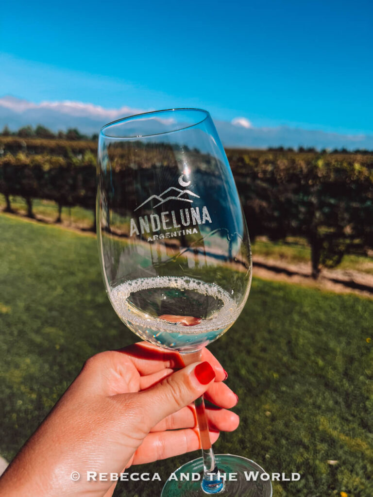 Hand holding an empty branded wine glass in front of vineyard rows and mountain views under blue skies. A classic wine tasting in Mendoza experience.