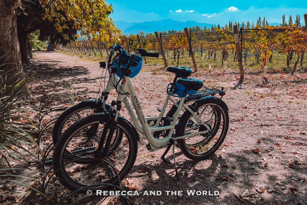 Two electric bicycles parked on gravel beside vineyard rows shaded by trees with mountains in the background. A fun activity for a Mendoza itinerary.