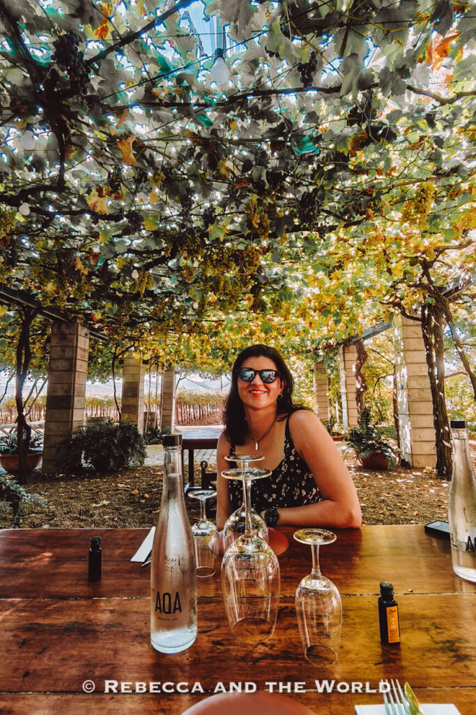 A woman (the author of this article) seated at an outdoor table beneath a leafy grapevine canopy with wine glasses and bottles arranged on the table. Enjoying wine tasting in Mendoza.