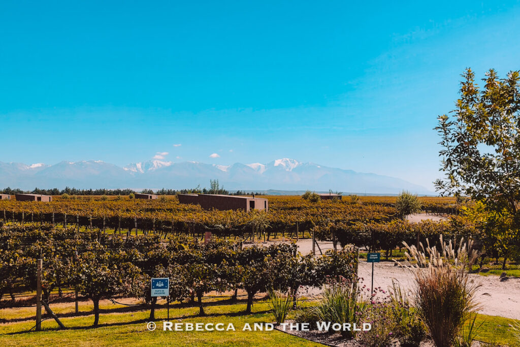 Wide landscape of a lake surrounded by dark mountain ranges beneath dramatic blue and pink clouds, viewed from a rocky shoreline during late afternoon light. Perfect scenery for a 3 days in mendoza road trip.