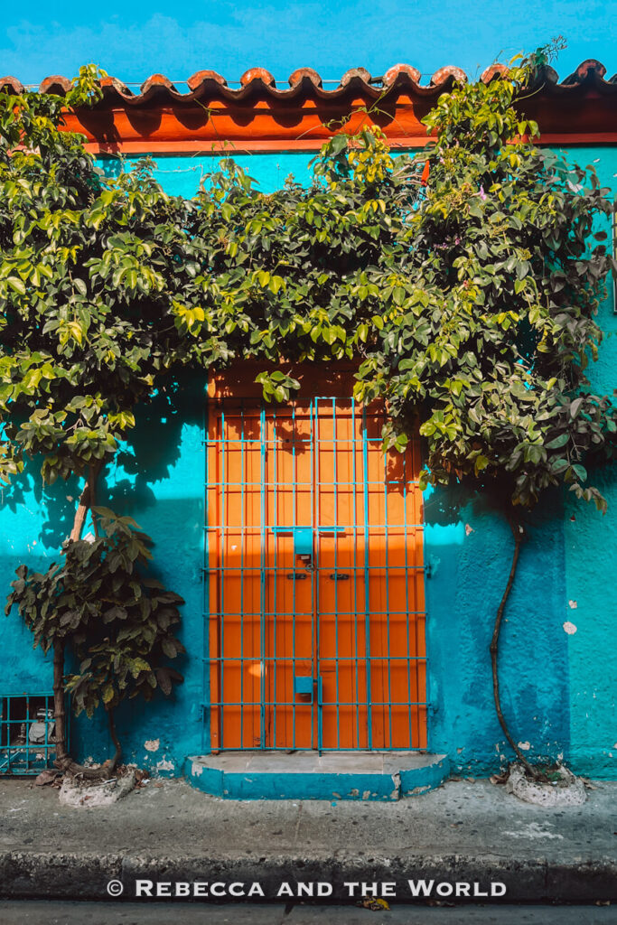 A turquoise wall with an orange door is framed by climbing vines and small trees, showing the colourful architecture visitors look for when deciding what to do in Cartagena.