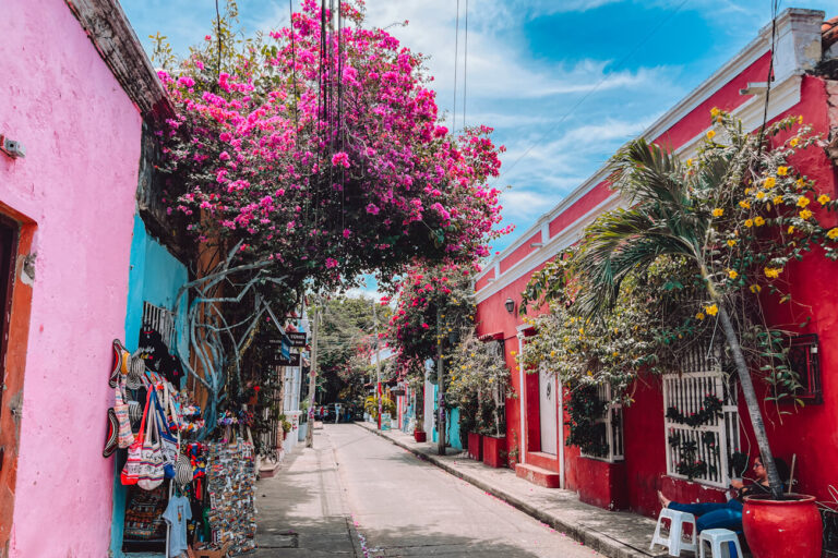 A narrow street is framed by brightly painted buildings and flowering bougainvillea trees bursting with pink blossoms, a picturesque stop during 3 days in Cartagena.