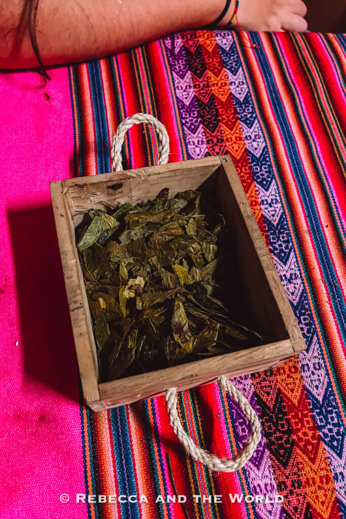 Wooden box filled with dried green coca leaves resting on a pink, orange, and purple woven cloth used in traditional Colombian food experiences.
