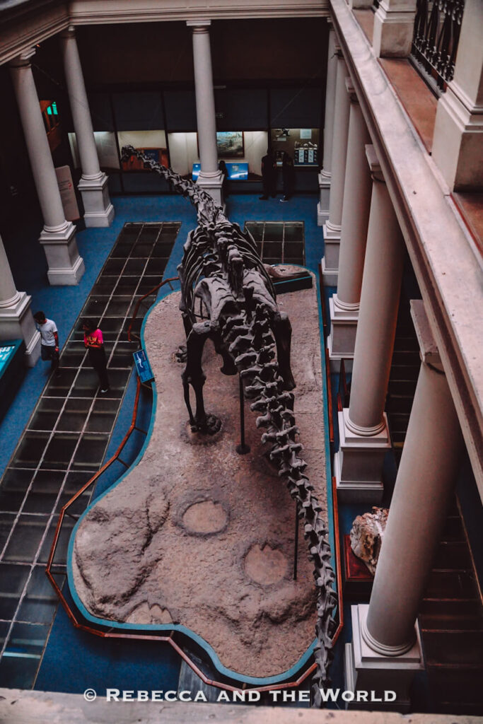 Overhead view inside a museum atrium (the natural history museum in La Plata, Argentina) featuring a large dinosaur skeleton displayed on a raised exhibit surrounded by pathways and informational panels. Tall white columns line the interior space, and a few visitors stand nearby for scale. The fossil exhibit is a highlight of a Buenos Aires day trip.