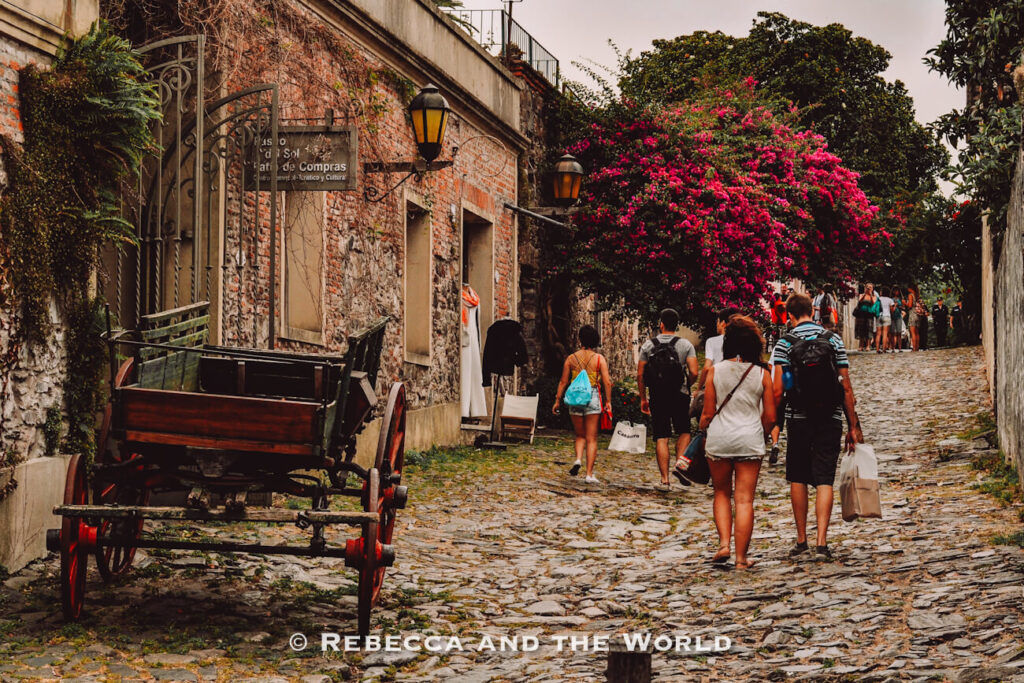 Visitors walk along a historic cobblestone street in Colonia del Sacramento, Uruguay, lined with rustic stone and brick buildings covered in vines. An old wooden horse-drawn cart with red wheels sits beside the road, while traditional lanterns hang from the walls. A large flowering bougainvillea tree with bright pink blooms arches over the street, adding color to the scene. People browse shops and stroll through the picturesque neighborhood, a popular stop on a day trip from Buenos Aires and one of the best day trips from Buenos Aires for its preserved colonial architecture and charming atmosphere.